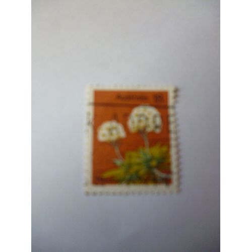 Timbre "Australia :Heliochrysum Thomsoni".