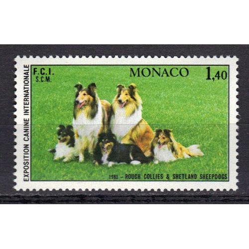 Monaco 1981 : Exposition Canine Internationale À Monte-Carlo : Chiens : Famille Collie - Timbre Neuf ** Cote 6,50 ¿