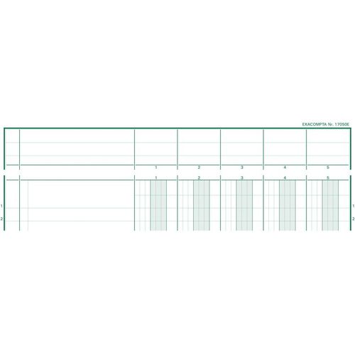 Exacompta Piq. 29.7/21 T.P. 5 Colonnes 80p.