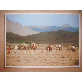 Carte Postale De Djibouti: Caravane