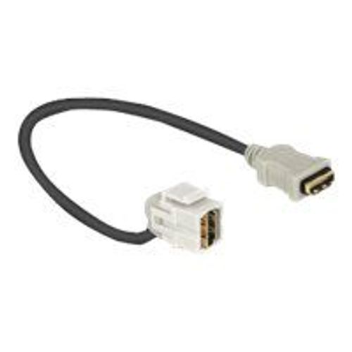 Delock Keystone Module HDMI female > HDMI female 110° with cable - Câble HDMI - HDMI femelle pour HDMI femelle - 22 cm