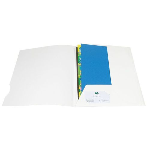Exacompta Bte De 20 Chromolux 250 Blanc