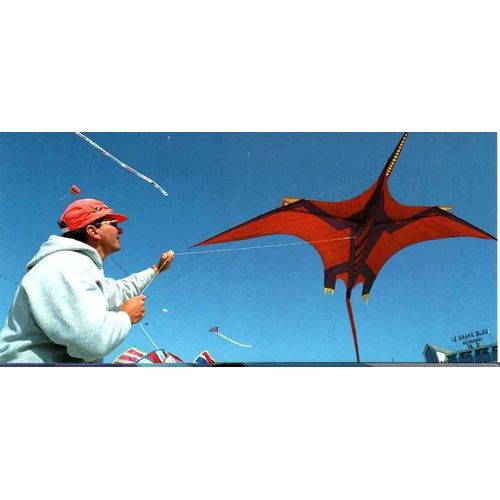 Carte Postale 7émes Rencontres De Cerfs Volants De Berck Sur Mer