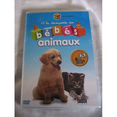 A La Découverte Des Bébés Animaux