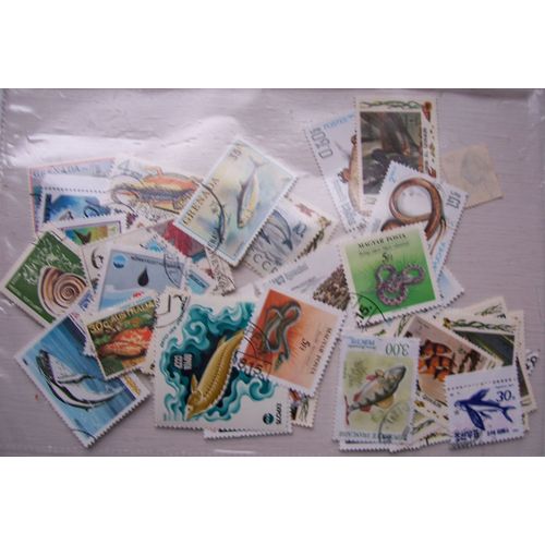 Lot  50  Timbres Et  2 Blocs  Poissons, Reptiles Monde