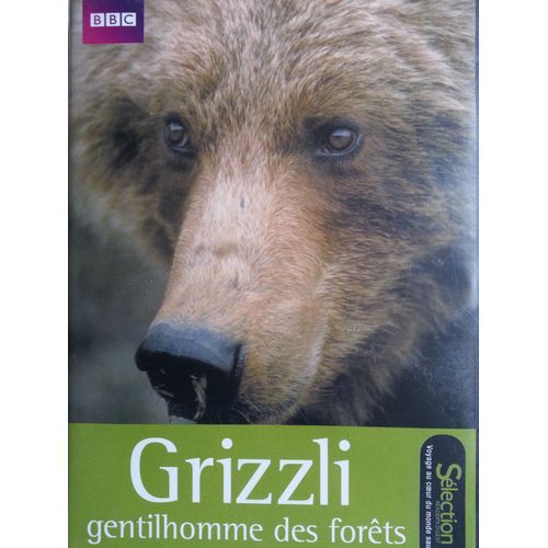 Grizzli Gentilhomme Des Forêts