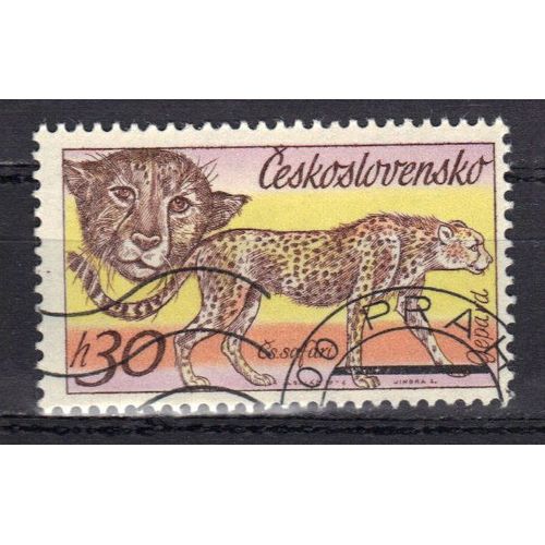 Tchecoslovaquie 1976 : Le Safari Tchécoslovaque : Félin Sauvage : Guépard - Timbre Oblitéré