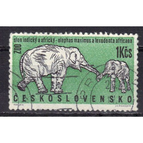 Tchecoslovaquie 1976 : Le Safari Tchécoslovaque : Animaux Sauvages : Eléphant Et Son Petit - Timbre Oblitéré