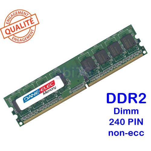 Dane-Elec D2D533-064284NG - Mémoire - 1 Go - DDR2 - PC2-4200 - 533 MHz - DIMM 240 broches - Non ECC