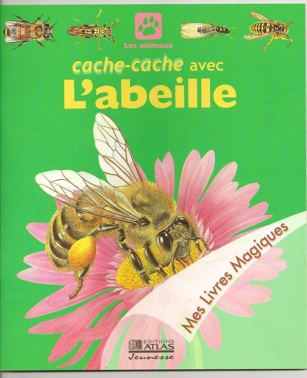 <a href="/node/111412">Cache-cache avec l'abeille</a>