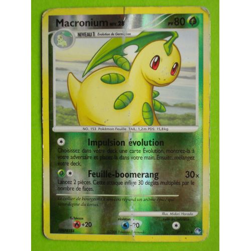 Reverse Macronium - Pokemon - Trésors Mystérieux 41