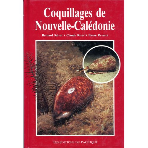 Coquillages De Nouvelle-Calédonie