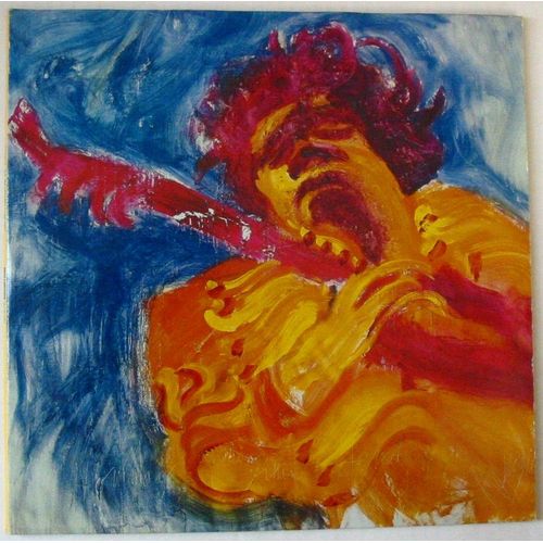 The Jimi Hendrix Concerts