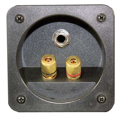 Ibiza Sound DISCO10B - Enceinte - Noir