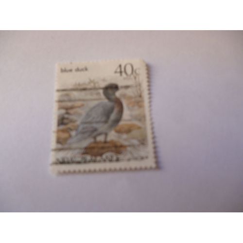 Timbre "New Zealand :Blue Duck".