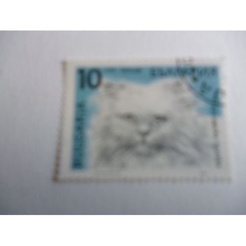 Timbre "Bulgarie :Chat".