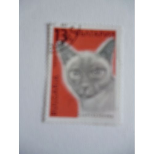 Timbre "Bulgarie :Chat".