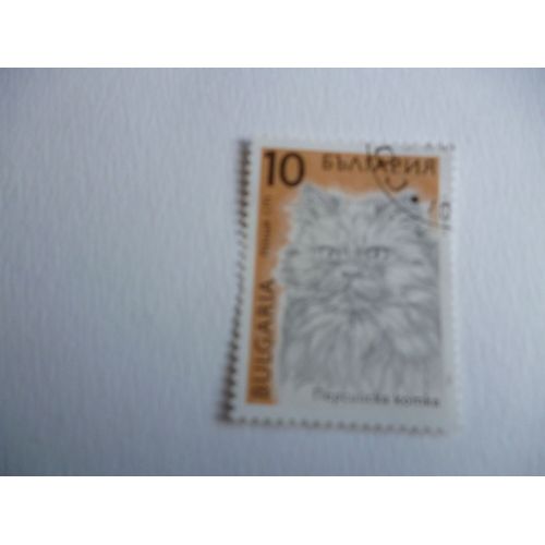 Timbre "Bulgarie :Chat".
