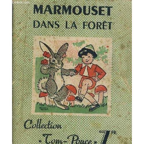 Marmouset Dans La Foret.