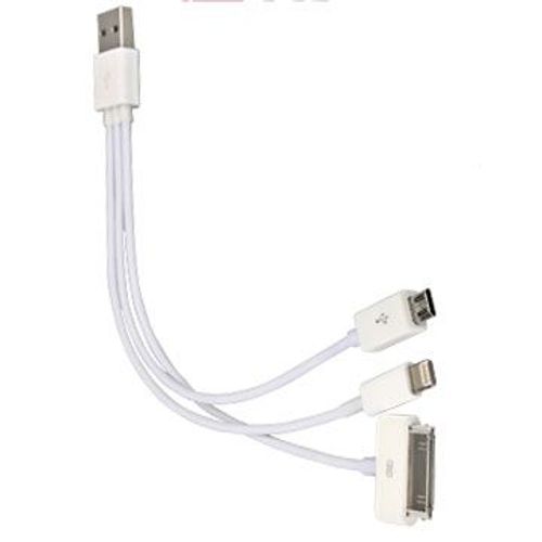 Chargeur Usb Multi-Connecteurs Micro-Usb Apple Galaxy Tab