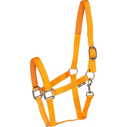 Licol Doublé Nylon Taille Cheval Orange Horse Guard