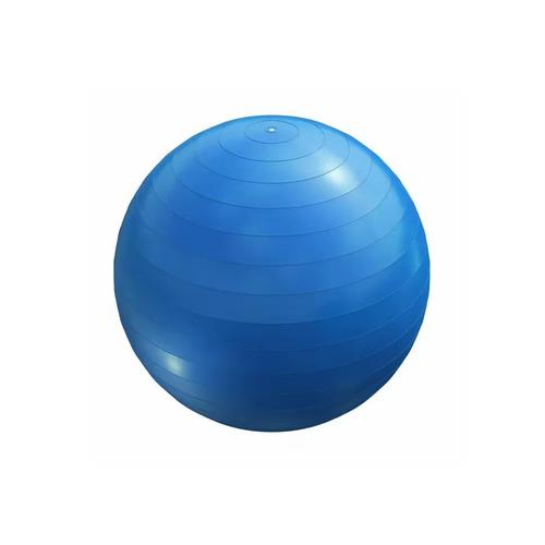 Ballon Pilate Taille L (+75 Cm) Marque Décathlon Couleur Bleu/ Bleu Gris