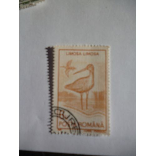 Timbre "Posta Romana :Limosa Limosa".1991