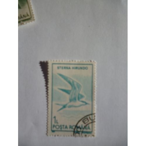 Timbre "Posta Romana :Sterna Hirundo".1991