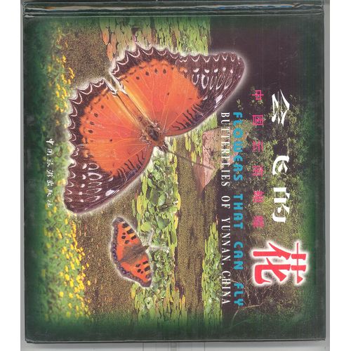 Butterflies Of Yannan, China
