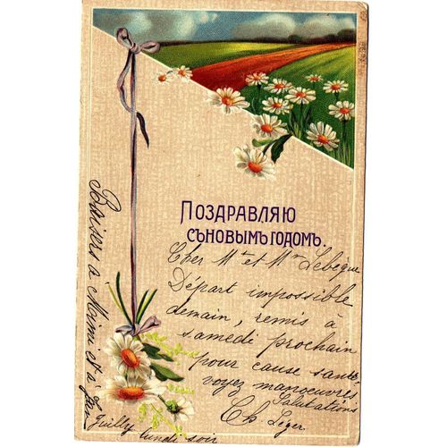 Carte Postale Ancienne, Ukraine, Pâquerettes En Relief, Champs