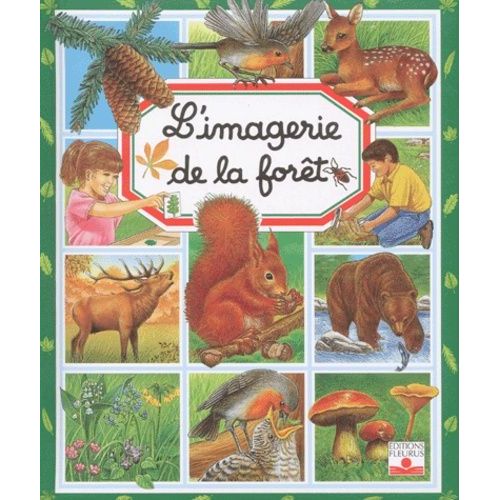 L'imagerie De La Forêt