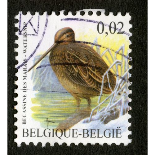 Timbre Oblitéré Belgique, Belgie, Bécassine Des Marais, 0,02