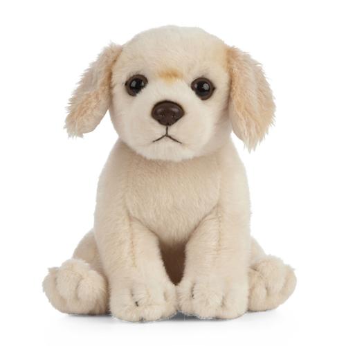 Living Nature Peluche Golden Retriever Puppy