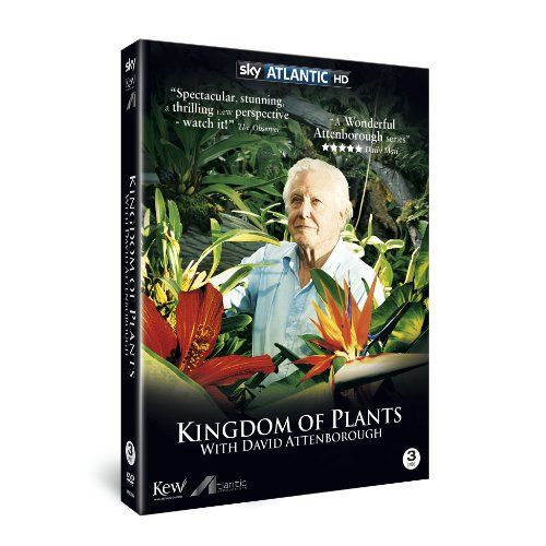 Kingdom Of Plants