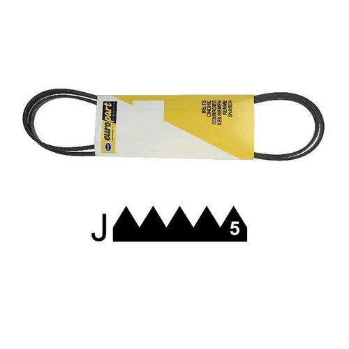 C00194422. COURROIE 1161 J5 POLY V EXTENSIBLE INDESIT