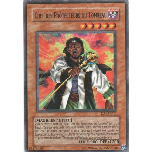 Dr1-Fr013 - Chef Des Protecteurs Du Tombeau - Yu Gi Oh! - Français -  Rare - R