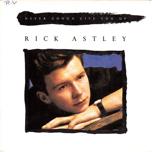 Never Gonna Give You Up, Instrument