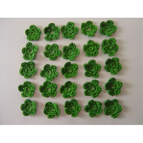 25 Fleurs Au Crochet