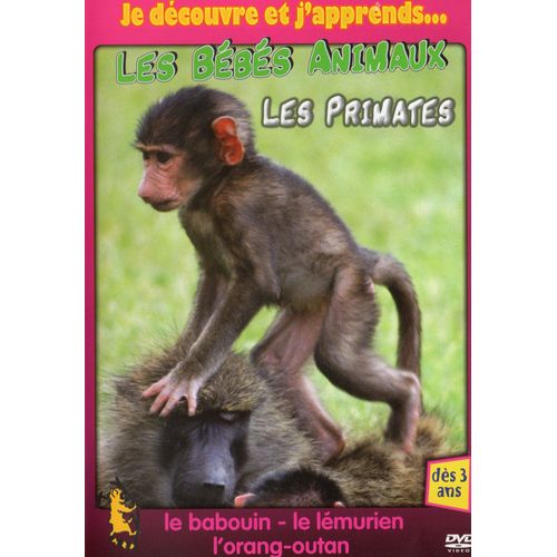 Les Bebes Animaux - Les Primates -