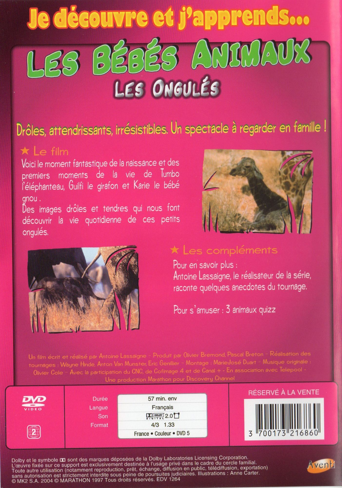 Les Bebes Animaux Les Ongules Dvd Zone 2 Rakuten