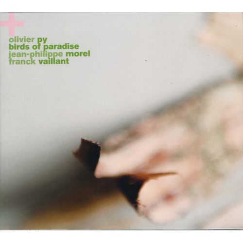 Birds Of Paradise