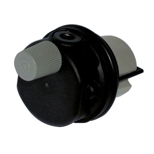 Purgeur Automatique - Ferroli 39818220