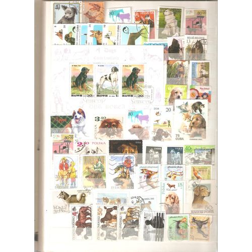 Lot De 40 Timbres Sur Le Chien Pays Divers