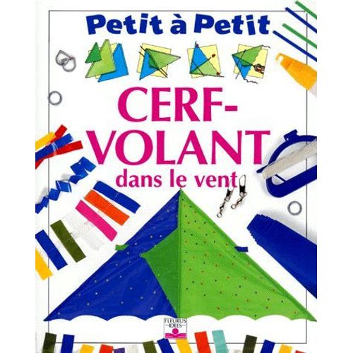 Petit À Petit Cerf-Volant Dans Le Vent Illustrations Jim Robins. Fabriquer Des Cerfs-Volants. A Partir De 7 Ans