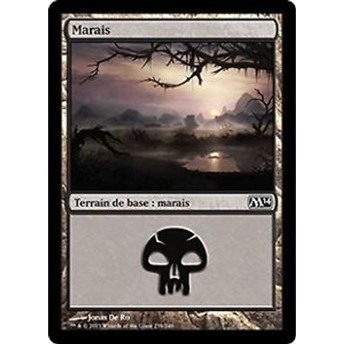 Lot De 40 Cartes De Terrain De Base - Marais