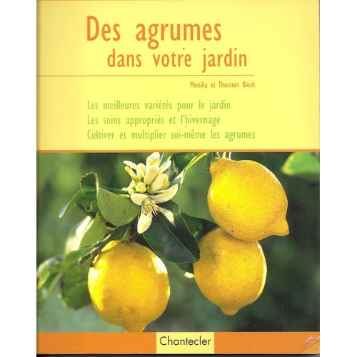 Des Agrumes Dans Votre Jardin