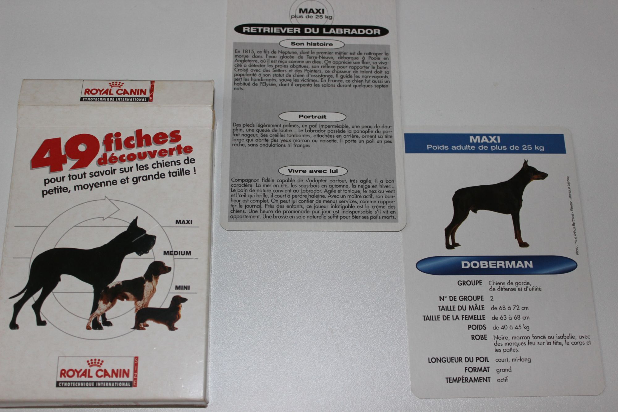 49 Fiches Decouverte Royal Canin