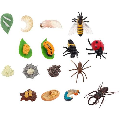 4 Ensembles Insectes Figurines Vie Cycle De Abeille Coccinelle Papillon Araign¿¿E En Plastique Bug Chiffres Jouet Chenilles ¿¿ Papillons ¿¿Cole Projet Pour Enfants