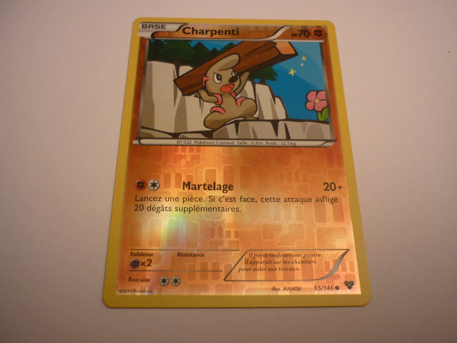 Carte Pokemon Francaise Reverse Serie Xy Charpenti 65/146