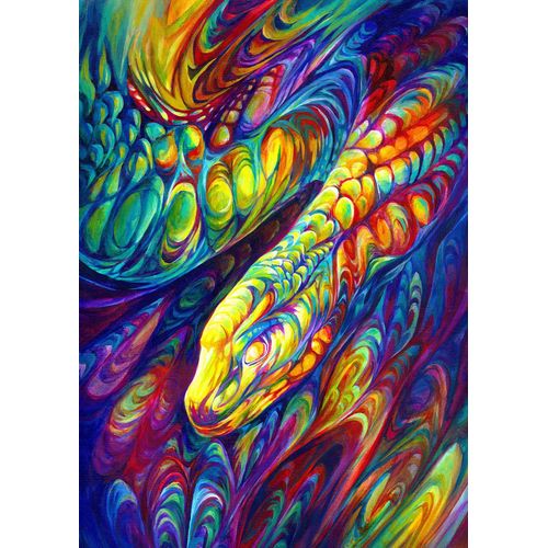 Serpent Arc-En-Ciel - Puzzle 1000 Pièces